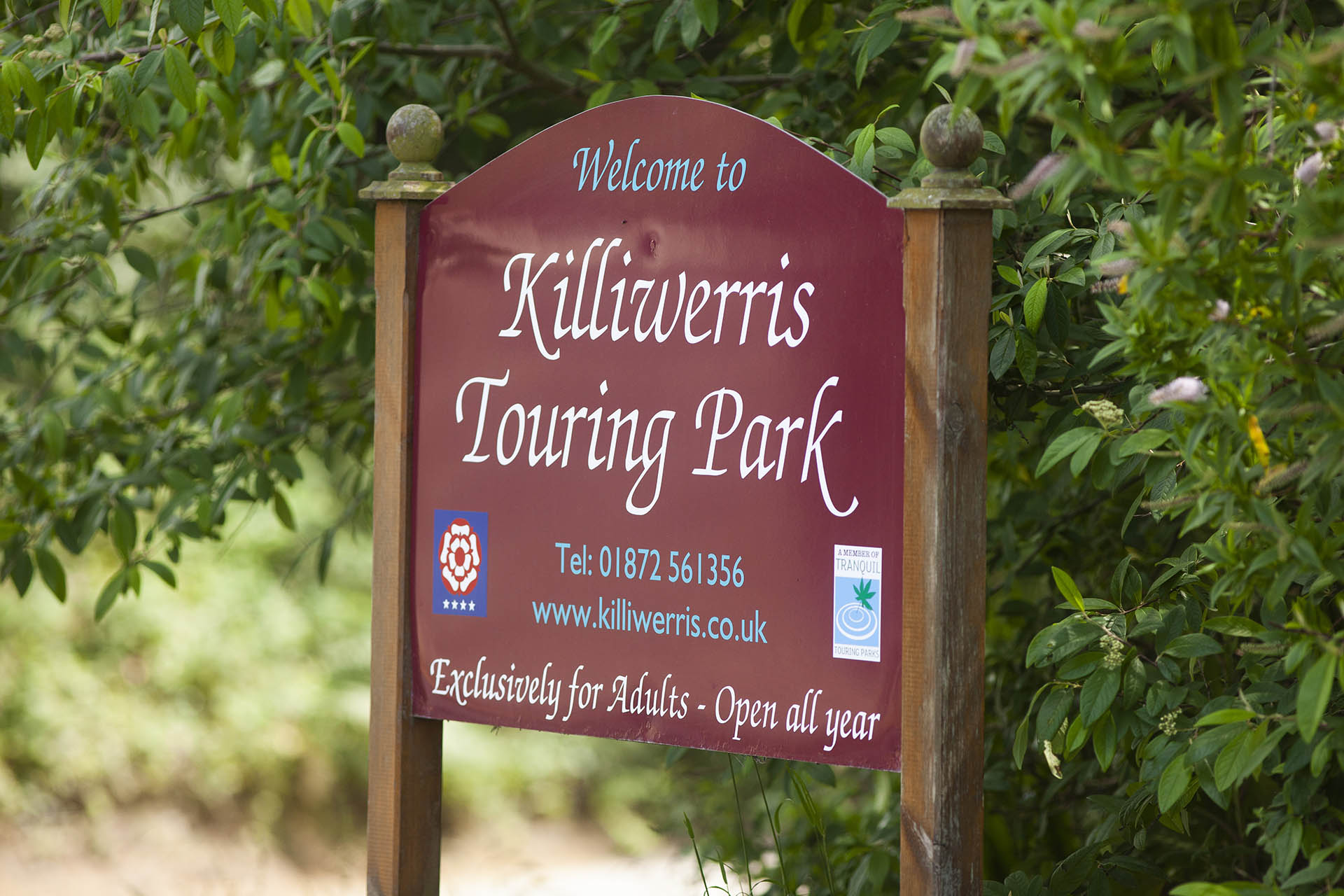 Kiliwerris Touring Park — photo 2